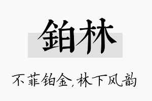 铂林名字的寓意及含义