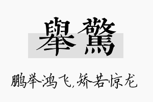 举惊名字的寓意及含义