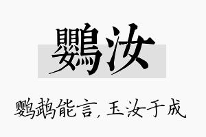 鹦汝名字的寓意及含义