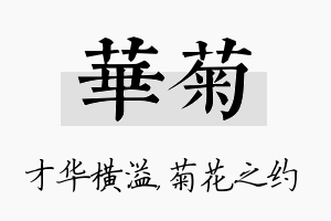 华菊名字的寓意及含义