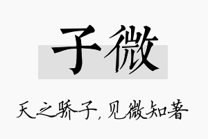 子微名字的寓意及含义