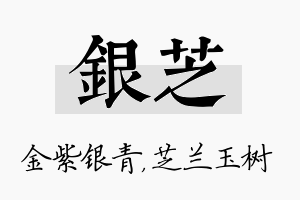 银芝名字的寓意及含义