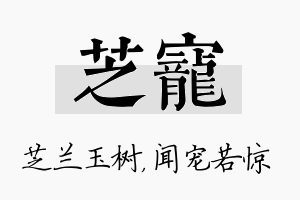 芝宠名字的寓意及含义