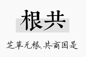 根共名字的寓意及含义