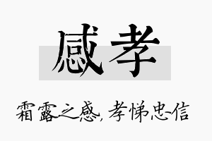 感孝名字的寓意及含义