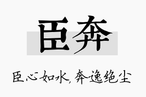 臣奔名字的寓意及含义