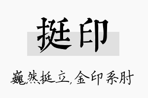 挺印名字的寓意及含义