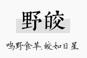 野皎名字的寓意及含义