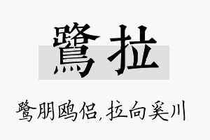 鹭拉名字的寓意及含义