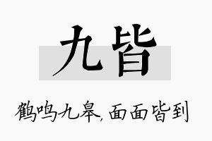 九皆名字的寓意及含义