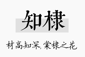 知棣名字的寓意及含义