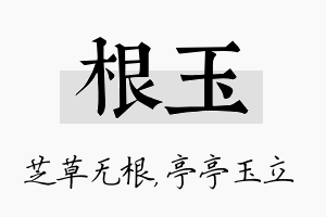 根玉名字的寓意及含义