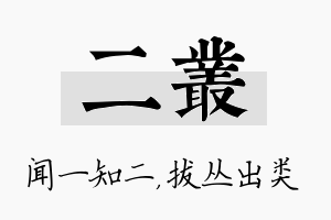 二丛名字的寓意及含义