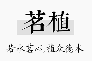 茗植名字的寓意及含义