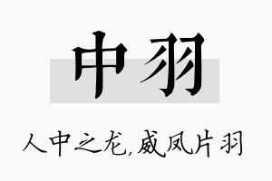 中羽名字的寓意及含义