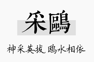 采鸥名字的寓意及含义