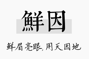 鲜因名字的寓意及含义