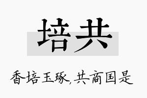 培共名字的寓意及含义