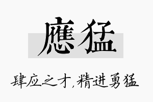 应猛名字的寓意及含义