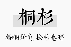 桐杉名字的寓意及含义