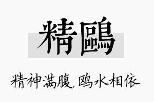 精鸥名字的寓意及含义