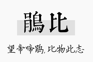 鹃比名字的寓意及含义