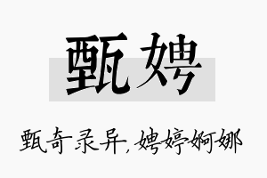 甄娉名字的寓意及含义