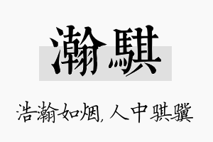 瀚骐名字的寓意及含义