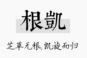 根凯名字的寓意及含义