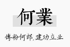 何业名字的寓意及含义