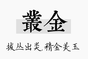 丛金名字的寓意及含义