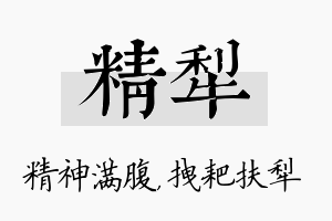 精犁名字的寓意及含义