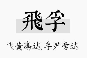 飞孚名字的寓意及含义