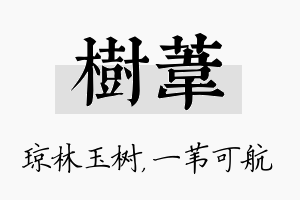 树苇名字的寓意及含义