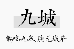 九城名字的寓意及含义