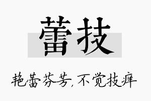 蕾技名字的寓意及含义