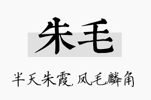 朱毛名字的寓意及含义