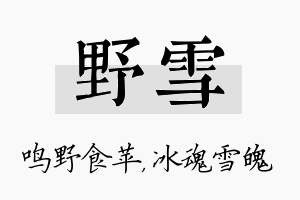 野雪名字的寓意及含义