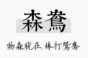 森鸯名字的寓意及含义