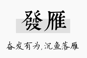 发雁名字的寓意及含义