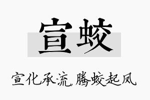 宣蛟名字的寓意及含义