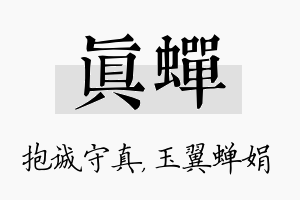 真蝉名字的寓意及含义