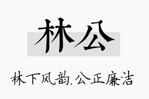 林公名字的寓意及含义