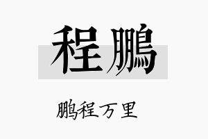 程鹏名字的寓意及含义