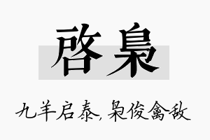 启枭名字的寓意及含义