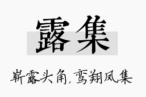 露集名字的寓意及含义