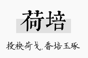 荷培名字的寓意及含义