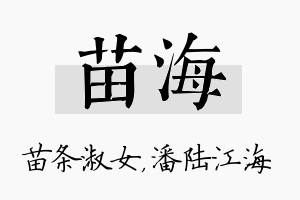 苗海名字的寓意及含义