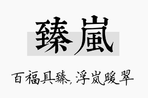 臻岚名字的寓意及含义