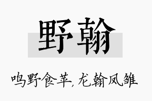 野翰名字的寓意及含义